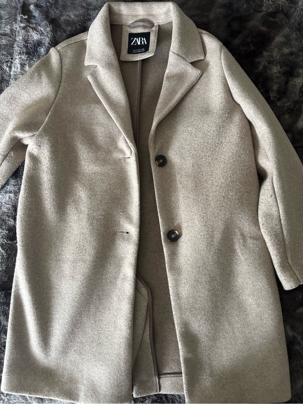 ZARA Coat